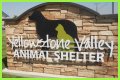 Discover The Heart Of Animal Welfare: Unveiling Yellowstone Animal Shelter