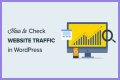 The Ultimate Guide To Check Website Traffic And Ranking