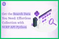 Ultimate Google SERP Checker API: Analyze Search Results Effortlessly